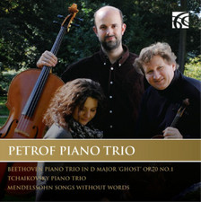 PETROF PIANO TRIO - PIANO TRIOS - CD image 1