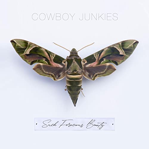 Cowboy Junkies - Such Ferocious Beauty - CD image 1