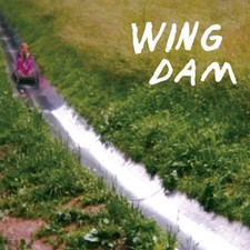 Wing Dam - Glow Ahead - Vinyl Record Vinyl image 1
