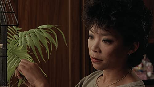 CRITERION COLLECTION - DIM SUM A LITTLE BIT OF HEART - BLUR image 3