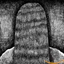 GRUMBLING FUR - FURRIER - CD image 1