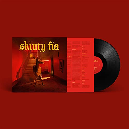 FONTAINES D.C. - Skinty Fia - Vinyl Record image 1