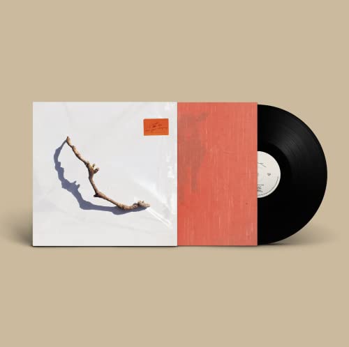 HARVEY - I INSIDE THE OLD YEAR DYING - Vinyl Record image 2