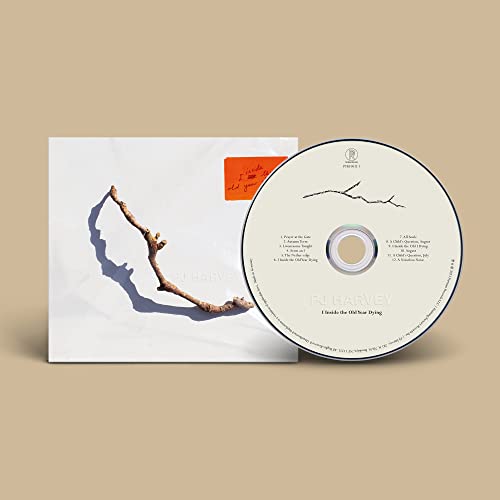 HARVEY - I INSIDE THE OLD YEAR DYING - CD image 1