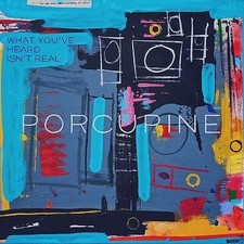 Porcupine - What Youve Heard Isnt Real - Vinyl Record Vinyl image 1