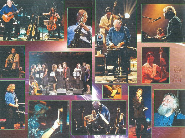 David Gilmour - In Concert - DVD image 5