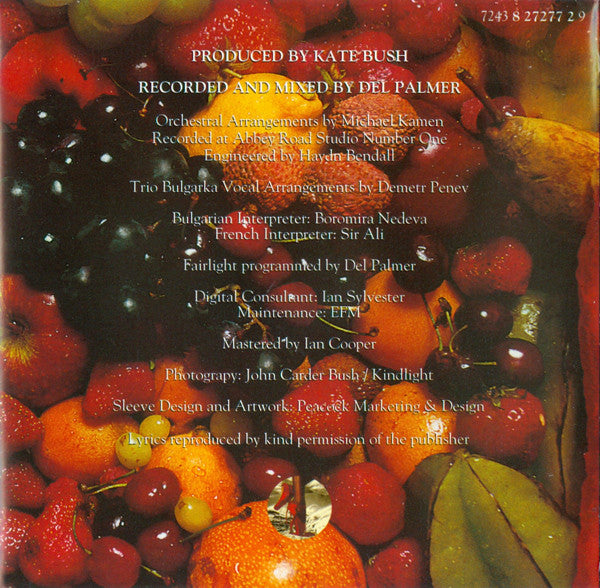 Kate Bush - Red Shoes - Used CD image 10