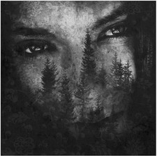 LUSTRE - ASHES OF LIGHT - CD image 1