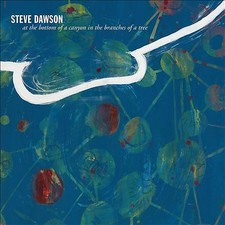 STEVE DAWSON - AT THE BOTTOM OF A CANYON IN THE BRANCHES OF A TREE - Vi image 1