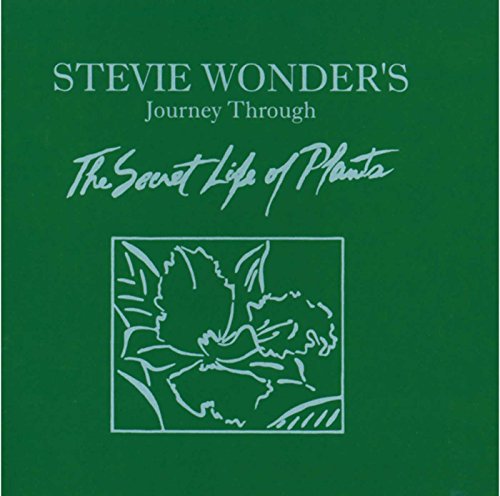Stevie Wonder - Journey Through The Secret Life Of Plants - CD image 1