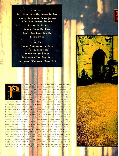 Sting - Ten Summoner's Tales - Vinyl Record image 3