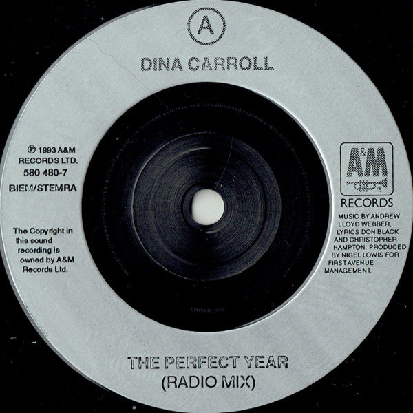 Dina Carroll - Perfect Year - Used Vinyl Record 7" image 3