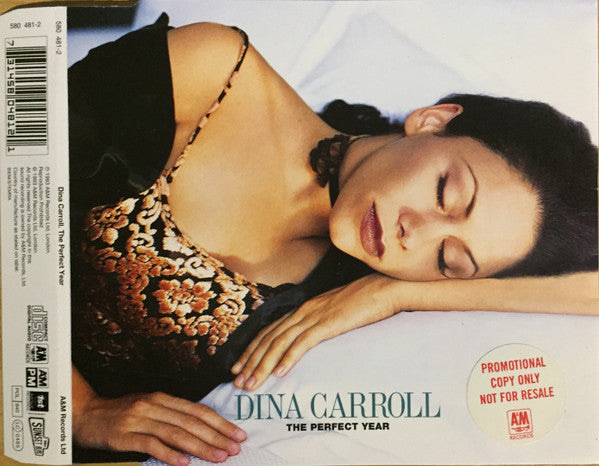 Dina Carroll - Perfect Year - Used CD image 1