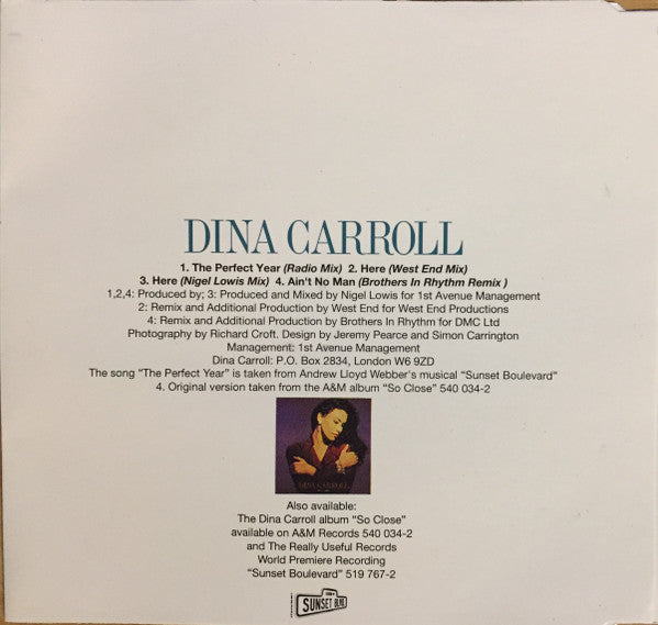 Dina Carroll - Perfect Year - Used CD image 2