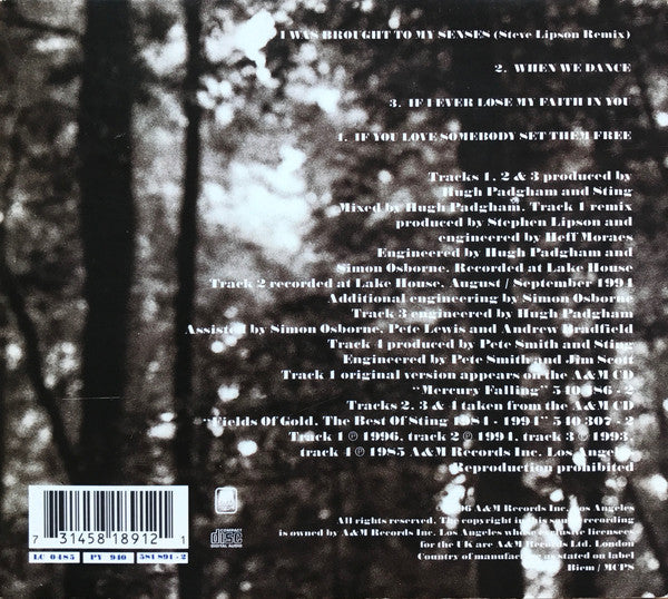 Sting - I Was Brought To My Senses - Used CD image 2