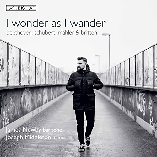 VARIOUS - I WONDER AS I WANDER - CD