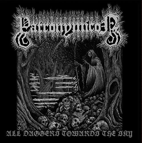 PATRONYMICON - ALL DAGGERS TOWARDS THE SKY - Vinyl Record image 1