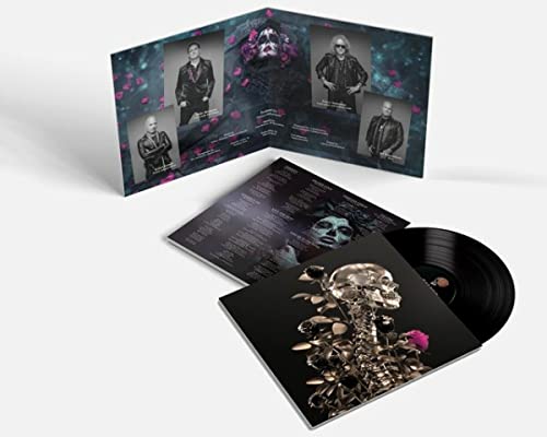 BLACK PAISLEY - RAMBLER - Vinyl Record image 1