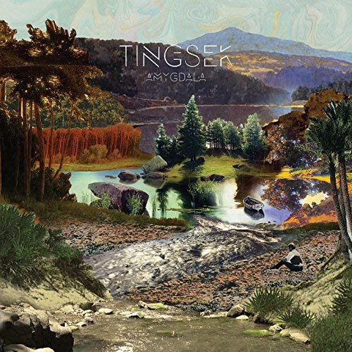Tingsek - Amygdala - CD image 1