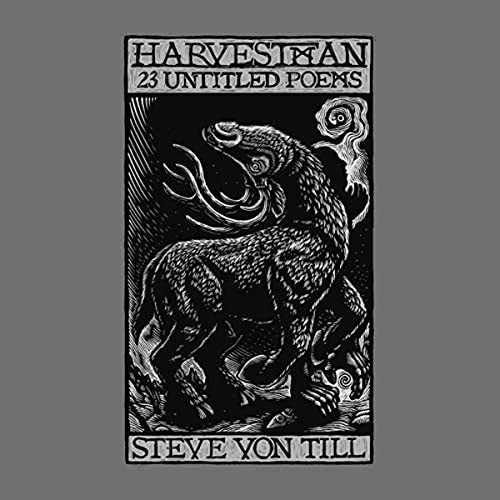 STEVE VON TILL/HARVE - 23 UNTITLED POEMS - Vinyl Record lp image 1