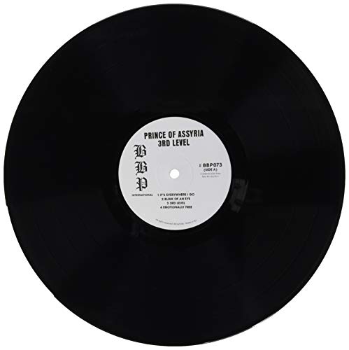 PRINCE OF ASSYRIA - 3RD LEVEL - Vinyl Record image 3