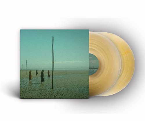 DEVIL'S WITCHES - IN ALL HER FORMS (GOLD/CLEAR MARBLED VINYL) - DLP - V image 1