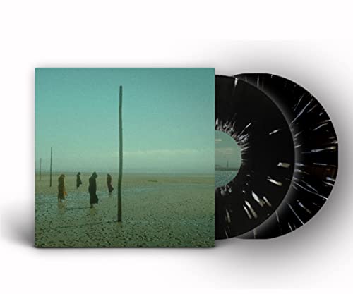 DEVIL'S WITCHES - IN ALL HER FORMS (BLACK/WHITE SPLATTER VINYL) - DLP - image 1