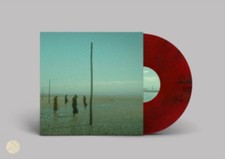 DEVIL'S WITCHES - IN ALL HER FORMS (RED/BLACK MARBLED VINYL) - DLP - Vi image 1