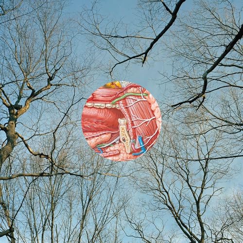 y Might Be Giants - Glean - Vinyl Record lp image 1