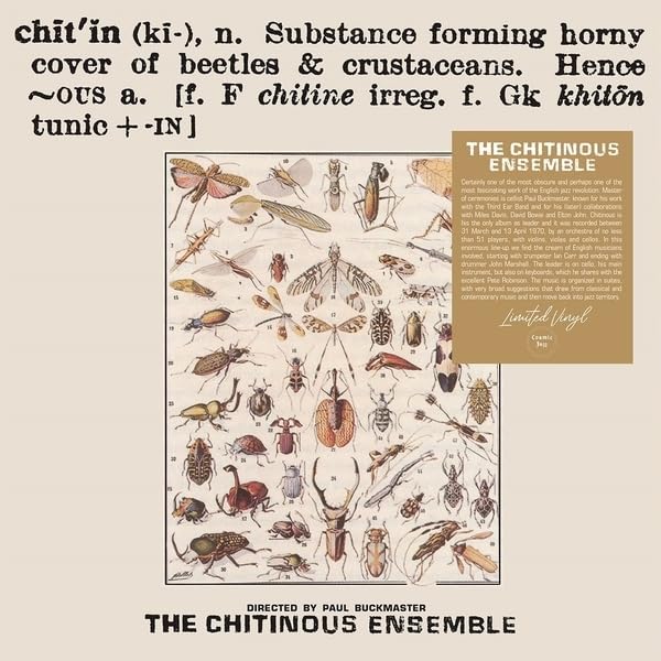 BUCKMASTER - CHITINOUS ENSEMBLE - Chitinous LP  RELEASE DATE 21/06/24 image 1