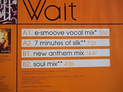 Taylor Dayne - I'll Wait - Used Vinyl Record 12" image 2