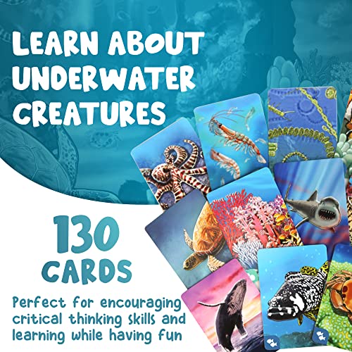 Ecosystem : Coral Reef - Non-book item image 3