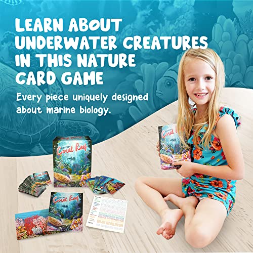 Ecosystem : Coral Reef - Non-book item image 5