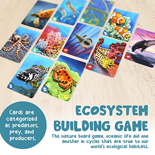 Ecosystem : Coral Reef - Non-book item image 7