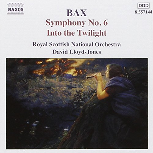 Arnold Bax - Symphony No. 6, Into The Twilight - Used CD image 1