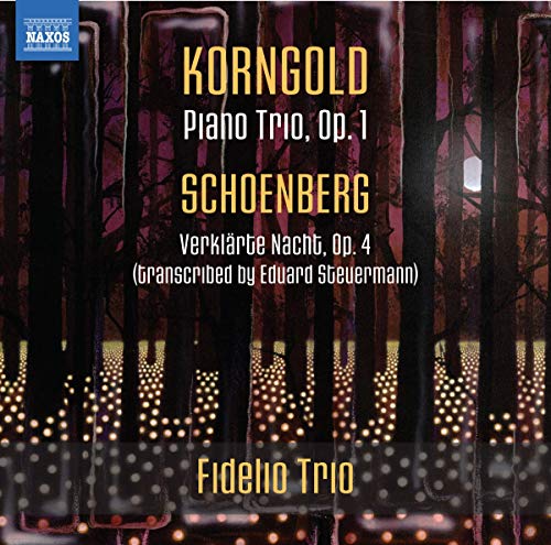 Erich Wolfgang Korng - Korngold: Piano Trio Op. 1/Schoenberg: Verklarte image 1