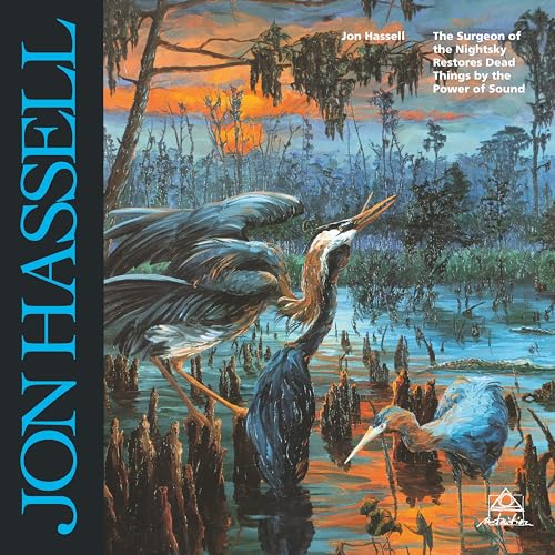 Jon Hassell - Surgeon Of The Nightsky - Vinyl Record image 1