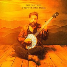 TALL TALL TREES - A WAVE OF GOLDEN THINGS - CD image 1
