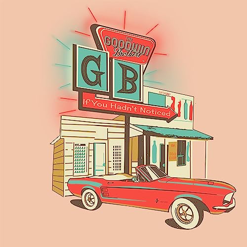 GOODWIN BROTHERS - IF YOU HADN'T NOTICED - CD image 1