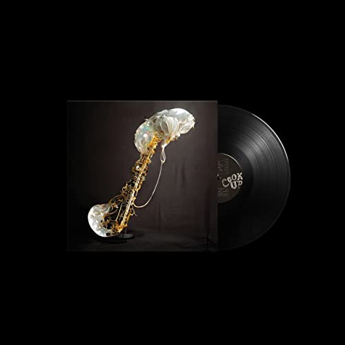 Sam Gendel - Cookup - Vinyl Record image 2
