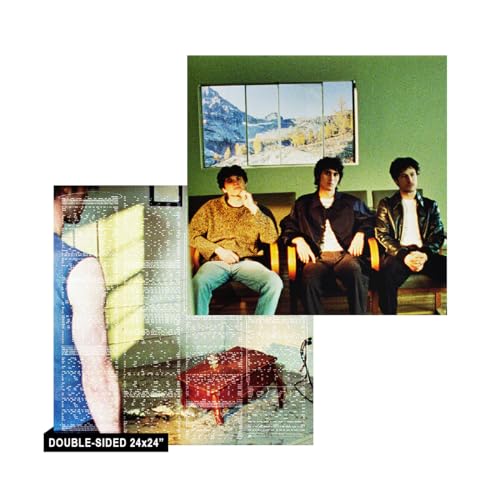 Wallows - Model - Vinyl Record VINYL image 4