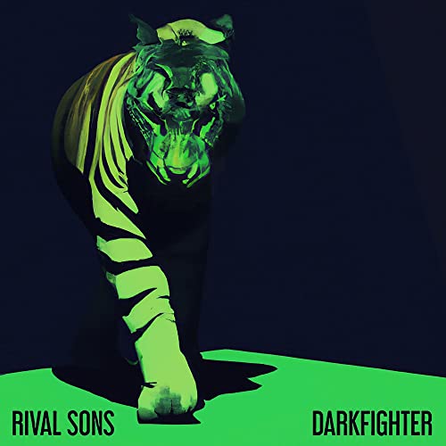 DARKFIGHTER - CD (1) image 1