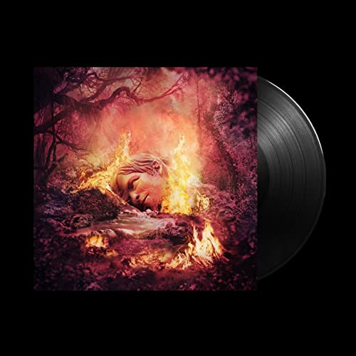 SZNZ: Summer - Vinyl Record VINYL (1) image 1