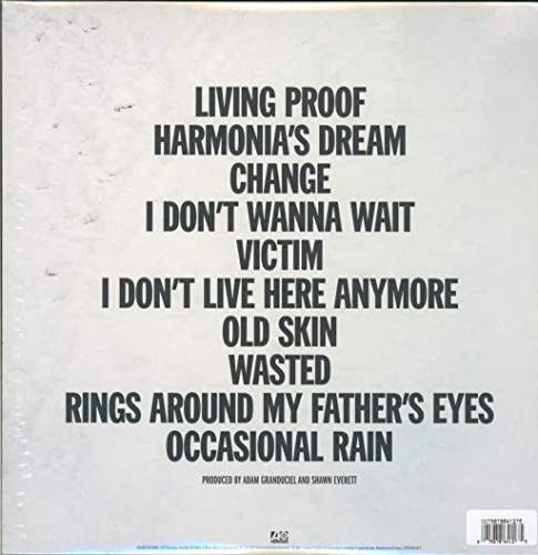 War On Drugs - I Dont Live Here Anymore (2LP/BLUE) - VINYL image 2