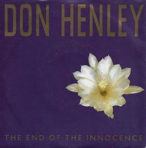 Don Henley - End Of The Innocence - Used Vinyl Record 7" image 1