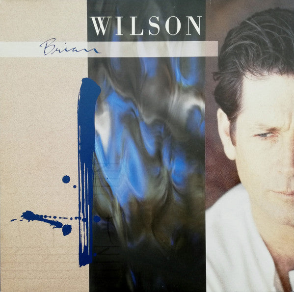 Brian Wilson - Used Vinyl Record image 1