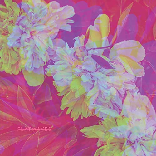 FLATWAVES - NUMBRA - Vinyl Record image 1