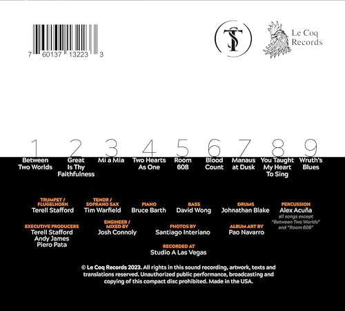 TERELL STAFFORD - BETWEEN TWO WORLDS - CD image 2