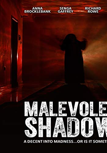 FEATURE FILM - MALEVOLENT SHADOWS - DVD