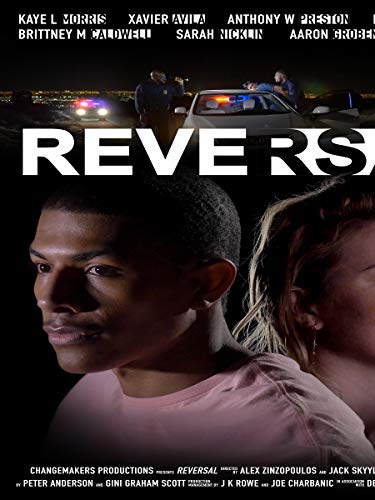 FEATURE FILM - REVERSAL - DVD image 1